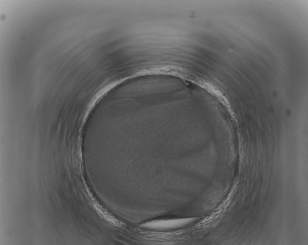 X0000066510792200603311728