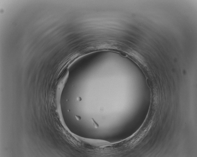 X0000066510793200603311728