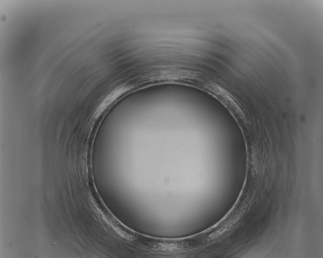 X0000066510794200603311728