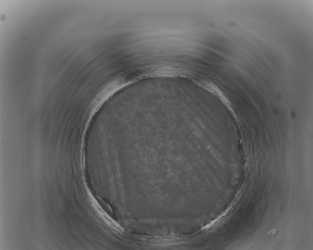 X0000066510795200603311728