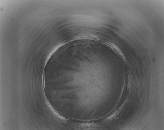 X0000066510796200603311728