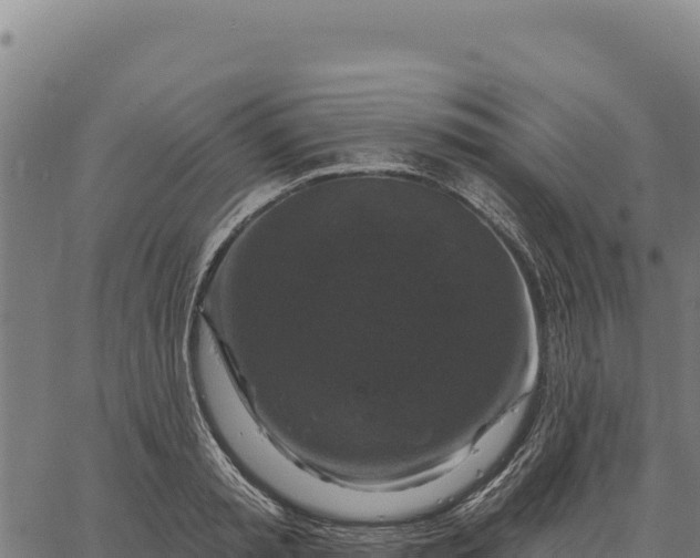 X0000066510797200603311728