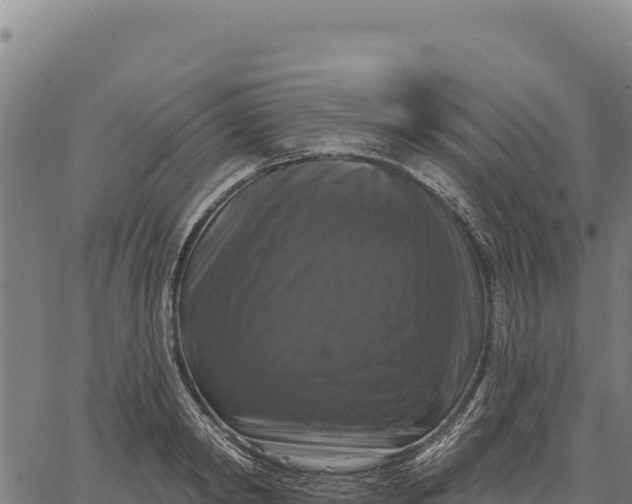 X0000066510798200603311728