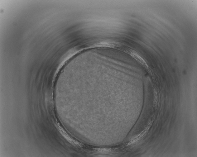 X0000066510800200603311728