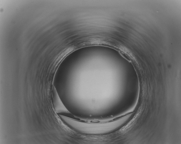 X0000066510801200603311728