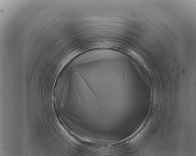 X0000066510802200603311728