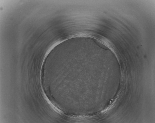 X0000066510803200603311728