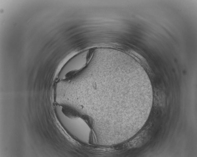 X0000066510804200603311728