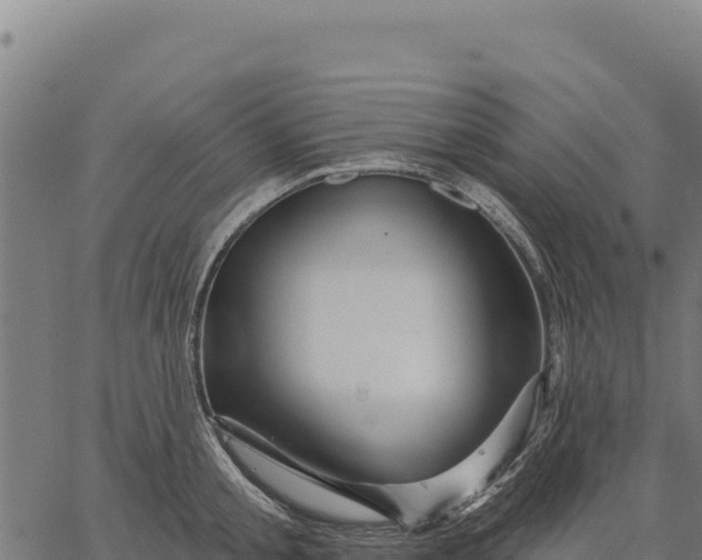 X0000066510805200603311728