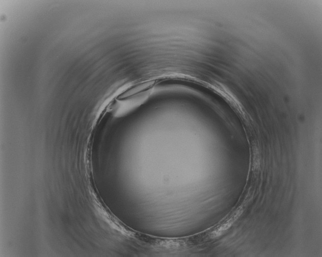 X0000066510806200603311728