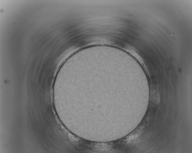 X0000066510807200603311728