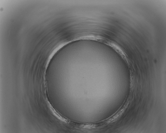 X0000066510808200603311728