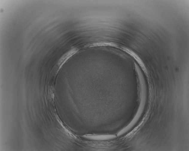 X0000066510809200603311728