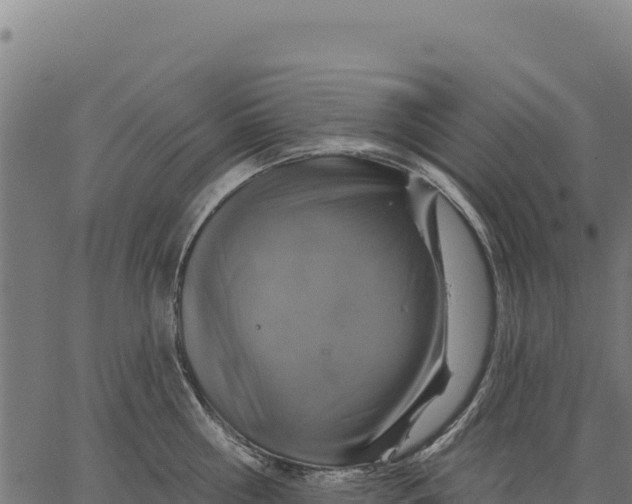 X0000066510810200603311728