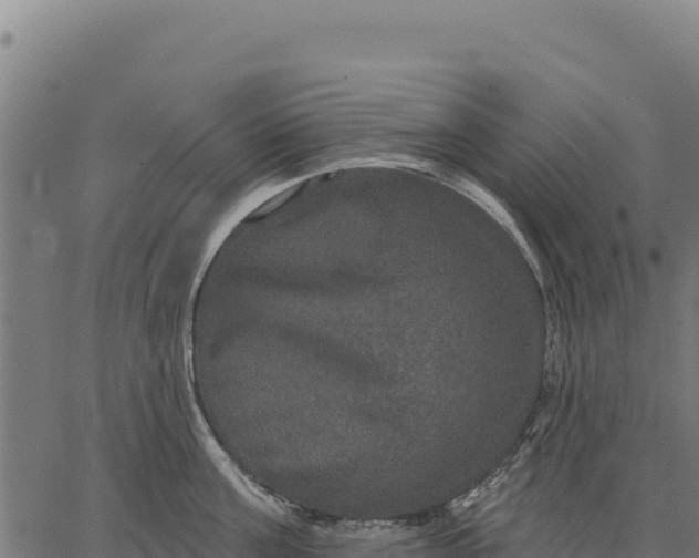 X0000066510811200603311728