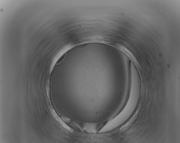 X0000066510812200603311728