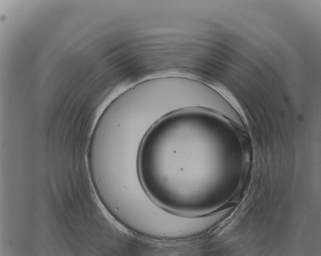 X0000066510813200603311728