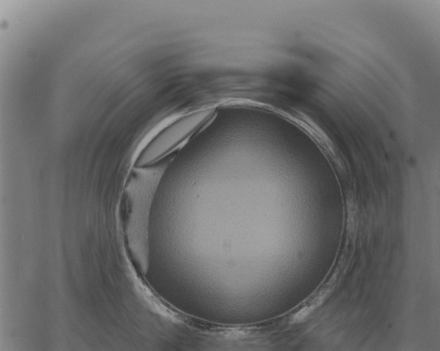 X0000066510814200603311728