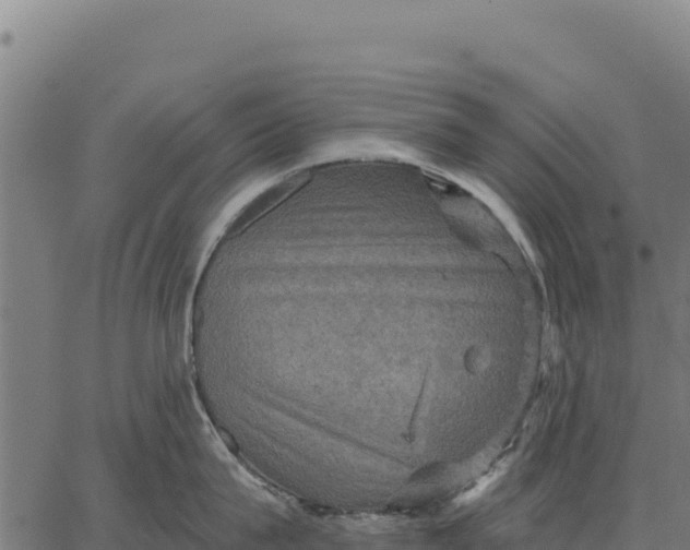 X0000066510815200603311728