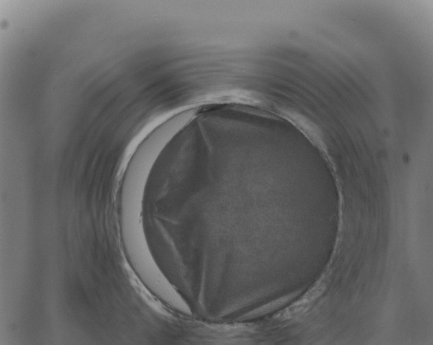 X0000066510816200603311728