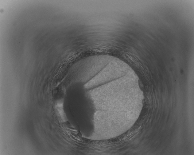 X0000066510817200603311727