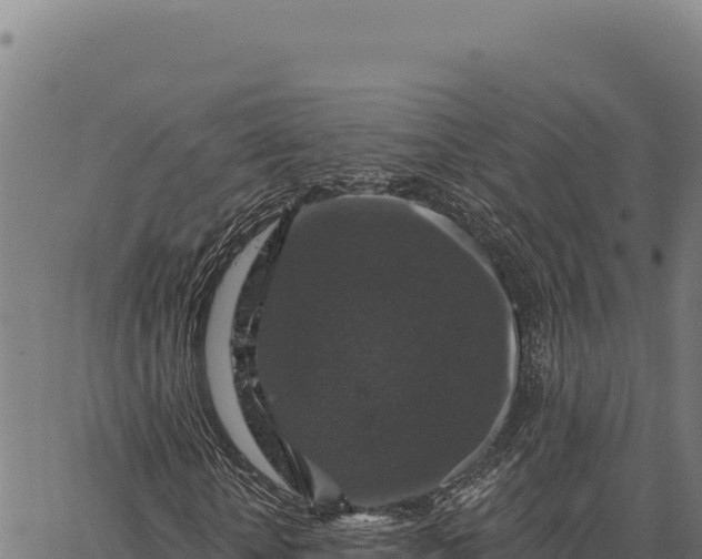 X0000066510818200603311727