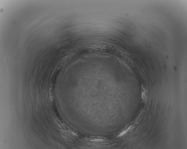 X0000066510819200603311727