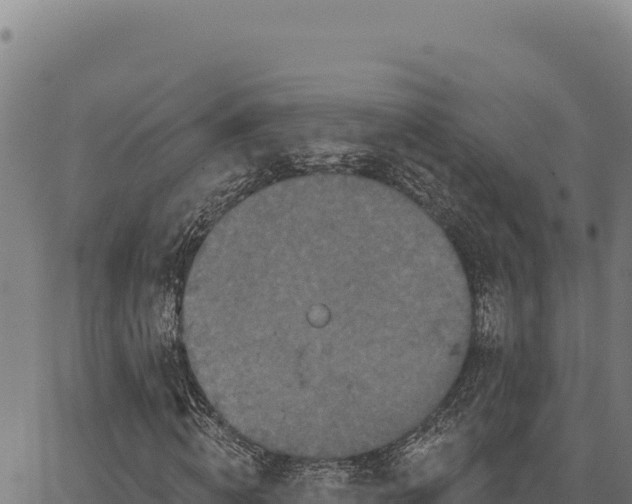 X0000066510820200603311727