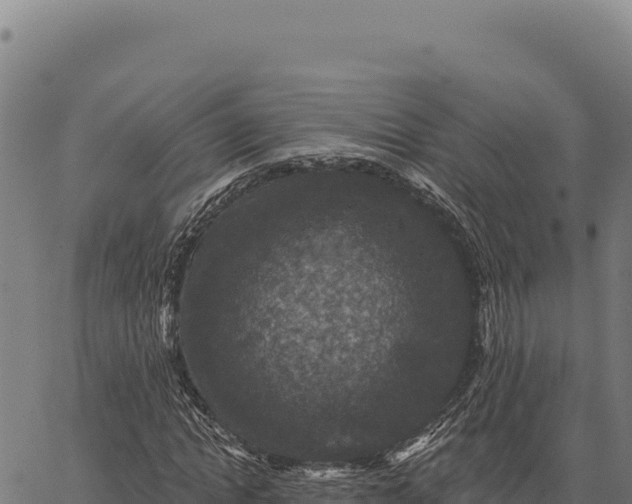 X0000066510822200603311727