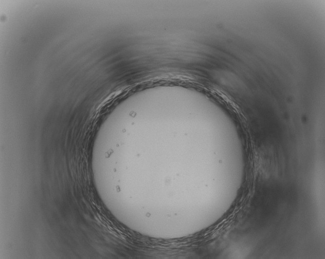 X0000066510824200603311727