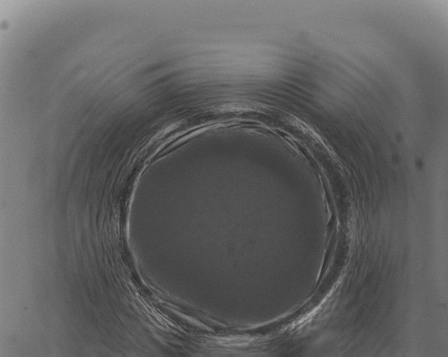 X0000066510825200603311727