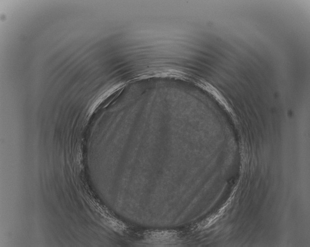 X0000066510826200603311727