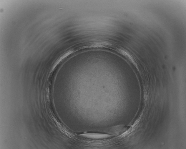 X0000066510827200603311727