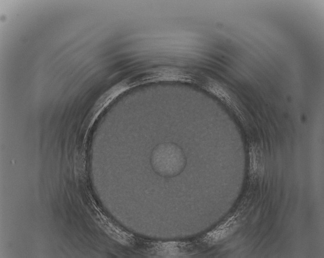 X0000066510828200603311727