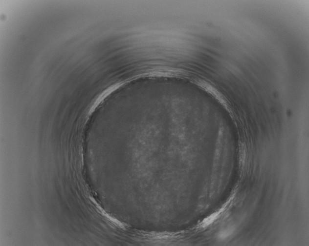 X0000066510829200603311727