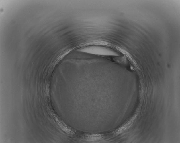 X0000066510833200603311727