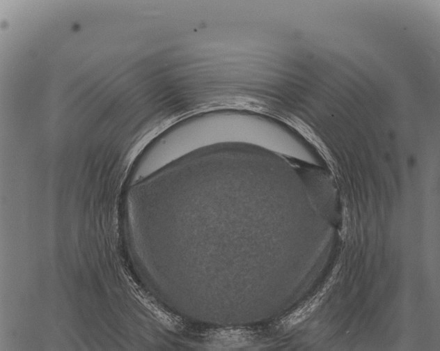 X0000066510834200603311727