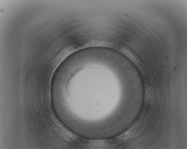 X0000066510836200603311727