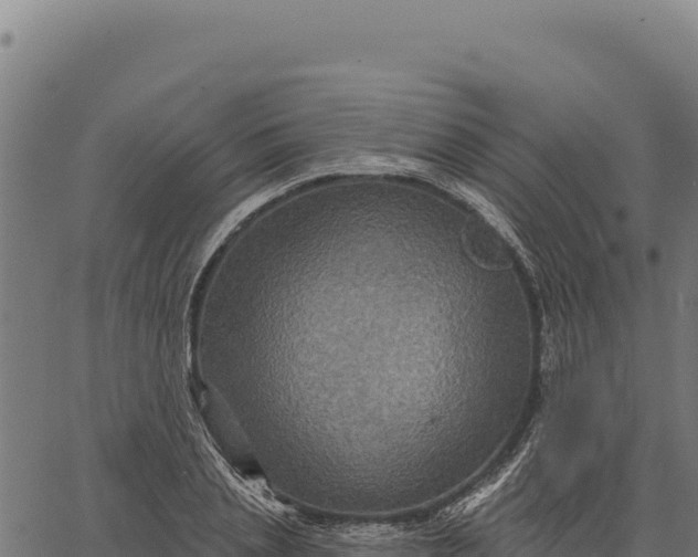 X0000066510837200603311727