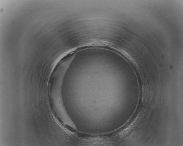 X0000066510838200603311727