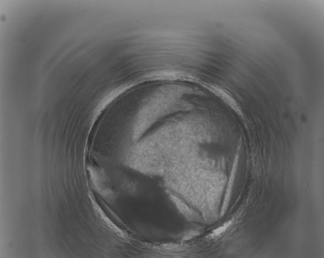 X0000066510839200603311727