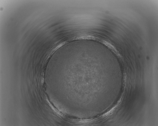 X0000066510841200603311727