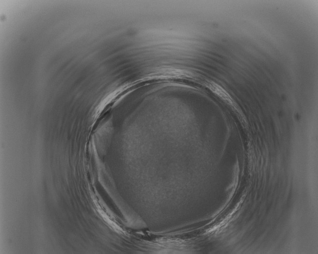 X0000066510842200603311727