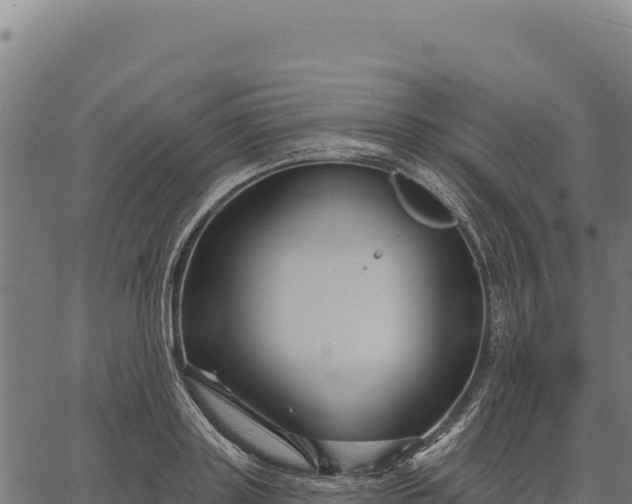 X0000066510843200603311727