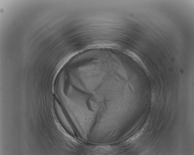 X0000066510844200603311727