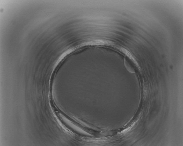 X0000066510845200603311727