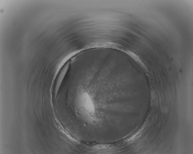 X0000066510846200603311727