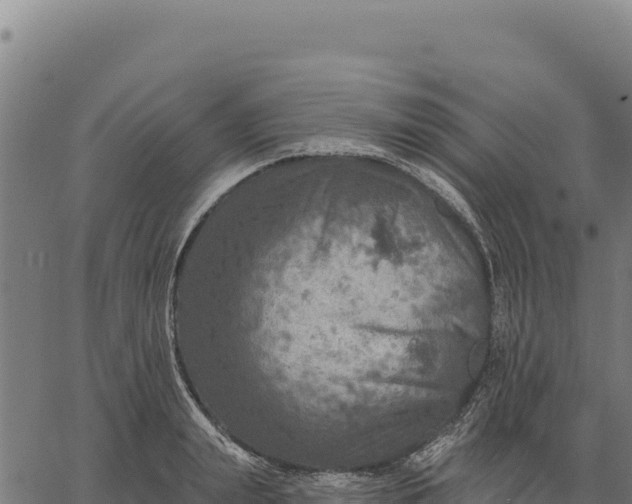 X0000066510847200603311727