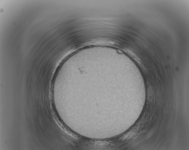 X0000066510848200603311727