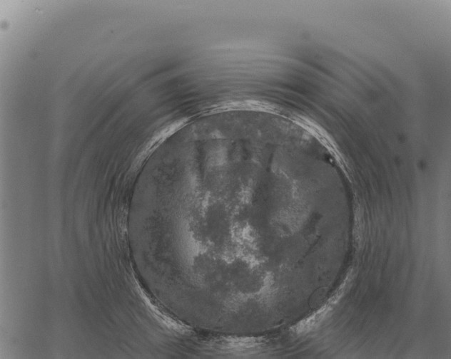 X0000066510849200603311727